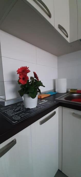 Gold Key Apartments, Durres Beach Zewnętrze zdjęcie